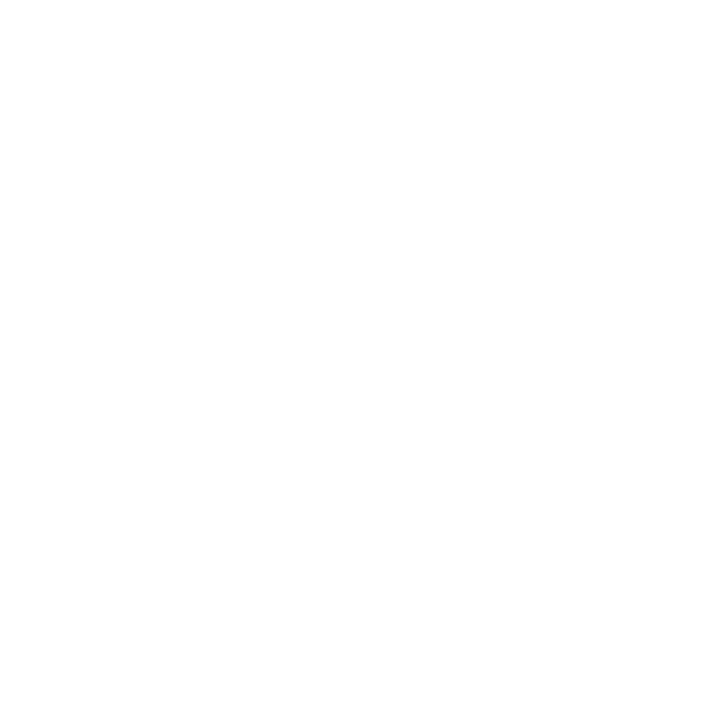 logo-baltic-chandlers-monotone-white
